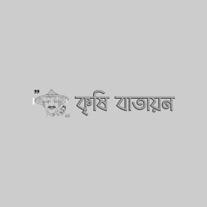 জামের পাতা মোড়ানো পোকা